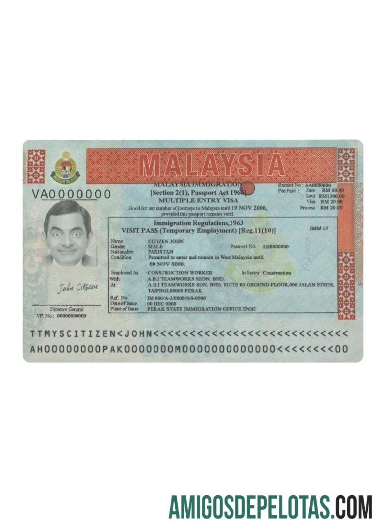 Visto de entrada múltipla da Malásia versão 2 amostra